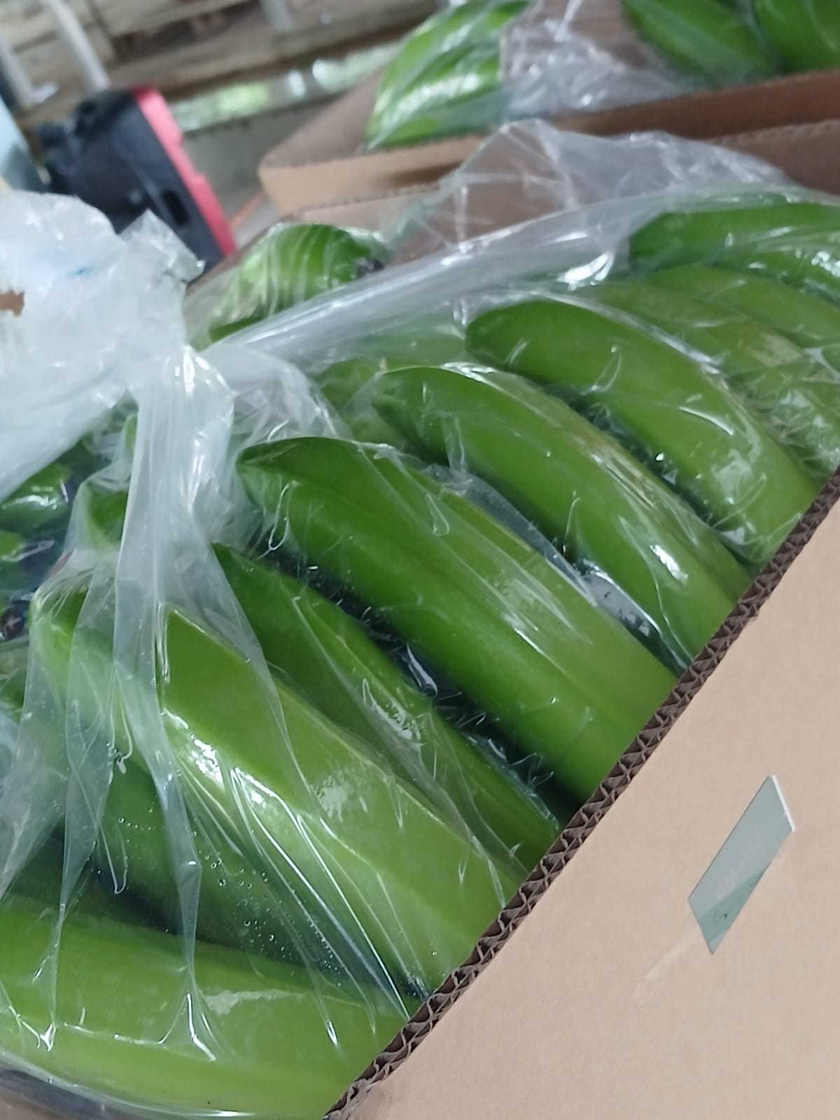 Piñas extra sweet
