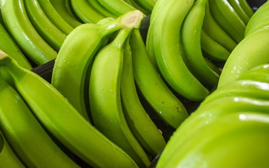 Banano Cavendish verde